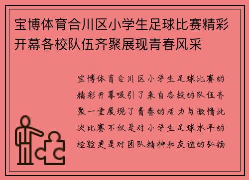 宝博体育合川区小学生足球比赛精彩开幕各校队伍齐聚展现青春风采